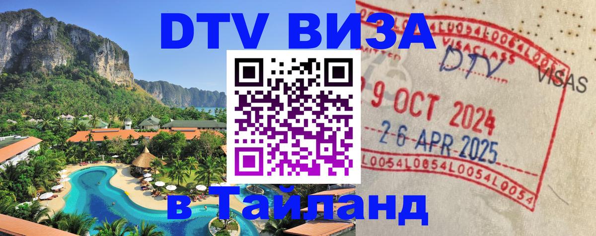 Сколько стоит DTV виза — актуальные цены, оформление даже без документов - 09.01.2026 
